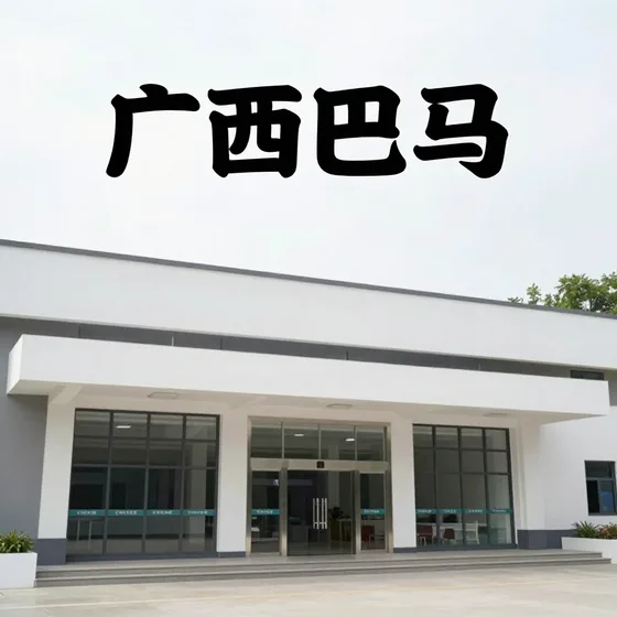 广西巴马行业解析